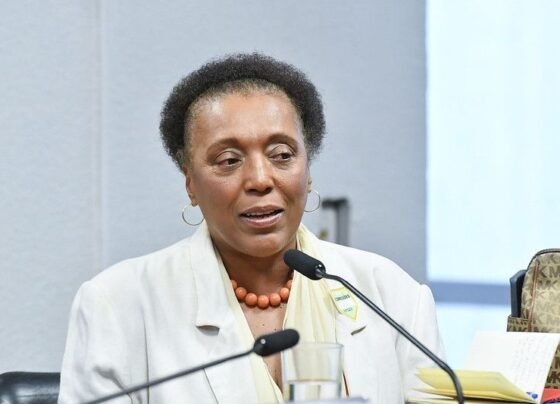 Vera Lúcia Santana de Araújo em pronunciamento na Comissão de Direitos Humanos do Congresso (arquivo)