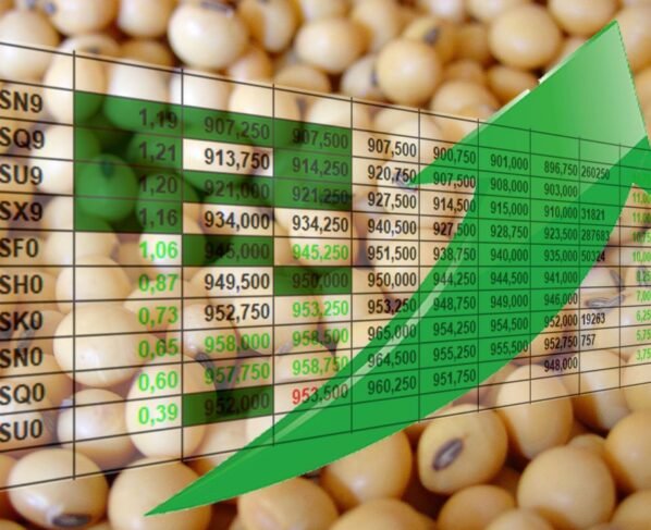 cotação preço soja