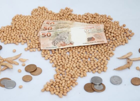 Monte de soja em grão formando mapa do Brasil. Sobre ele, três notas de 50 reais. Ao redor, moedas de diversos valores