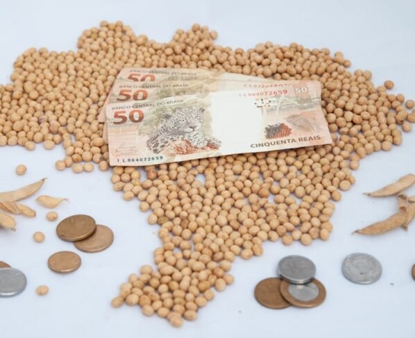 Monte de soja em grão formando mapa do Brasil. Sobre ele, três notas de 50 reais. Ao redor, moedas de diversos valores