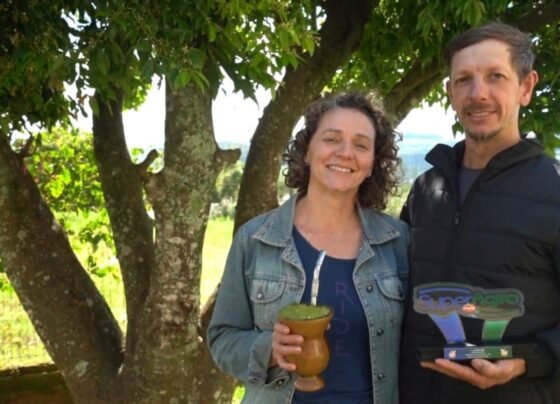 Família do RS vive da suinocultura há três gerações e se tornou referência no setor