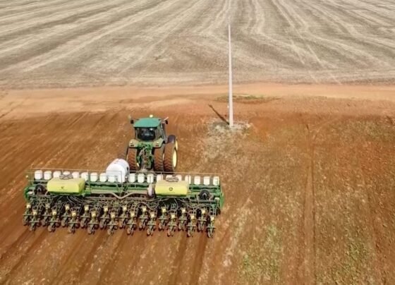 plantio soja em mato grosso