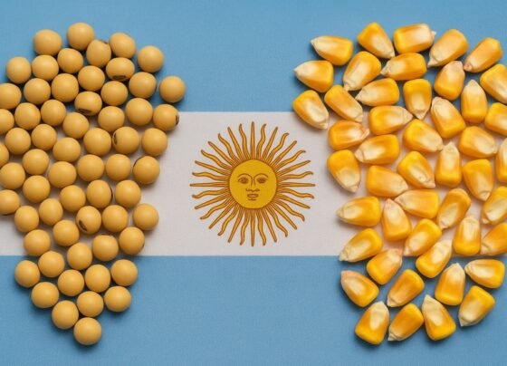 retenciones Argentina