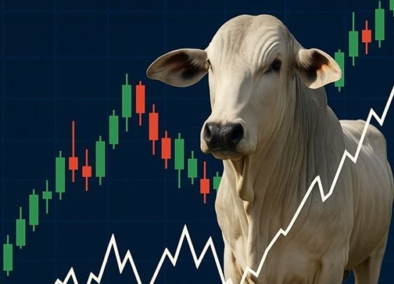 derivativos boi gordo