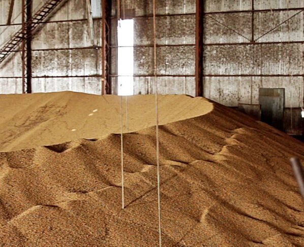 soja em silo