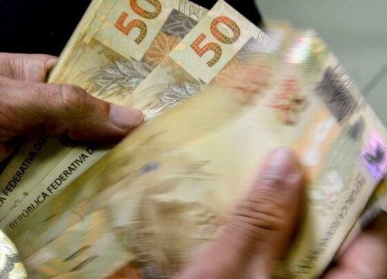 novo salário mínimo