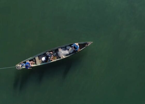 pescadores atividade pesqueira