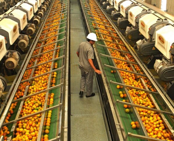 Laranja Indústria, Fundecitrus