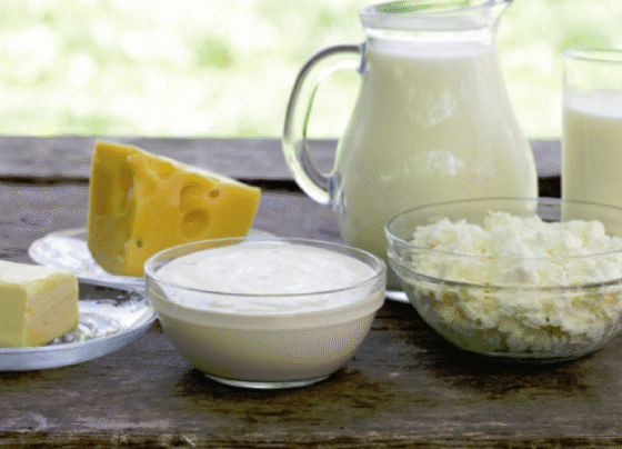 lácteos