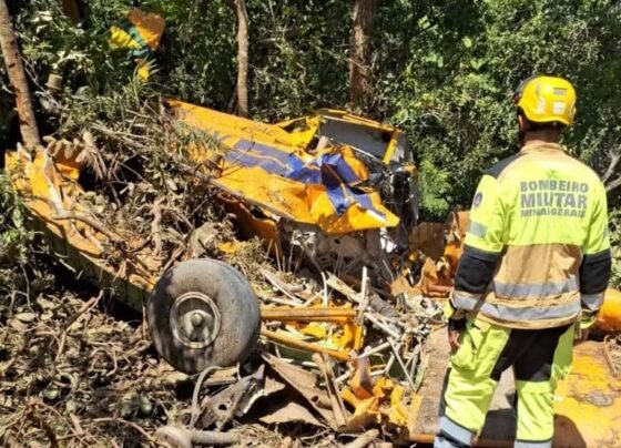 avião agrícola piloto sobreviveu