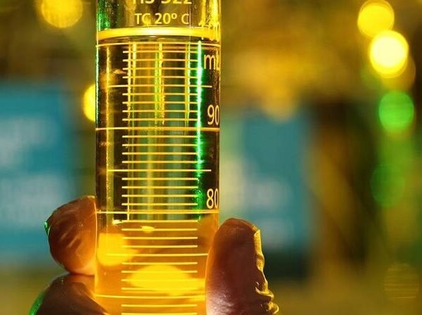 Aprobio, biocombustíveis, biodiesel