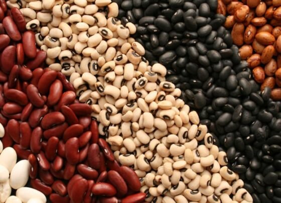 PGPAF, Conab, lista, feijão, feijões