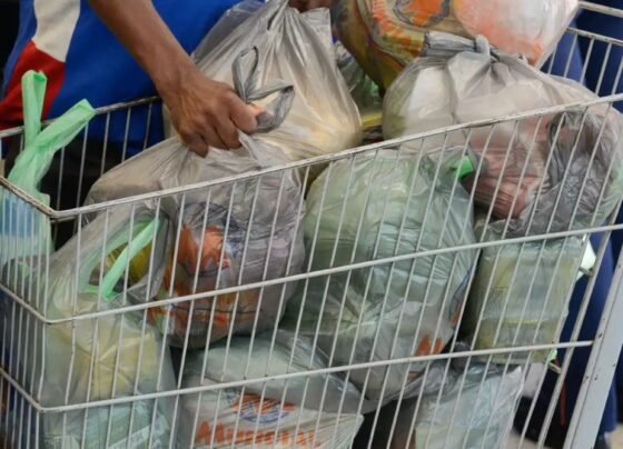 Foto: Fernando Frazão/Agência Brasil.