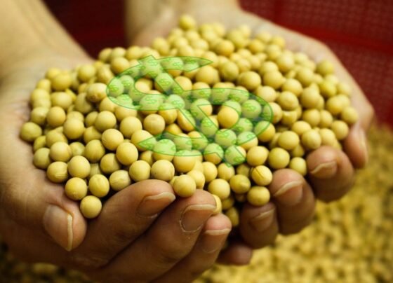 reforma tributária soja dinheiro Plano Safra