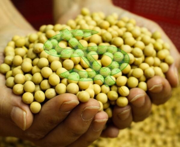 reforma tributária soja dinheiro Plano Safra