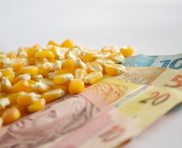 preços, crédito rural, milho