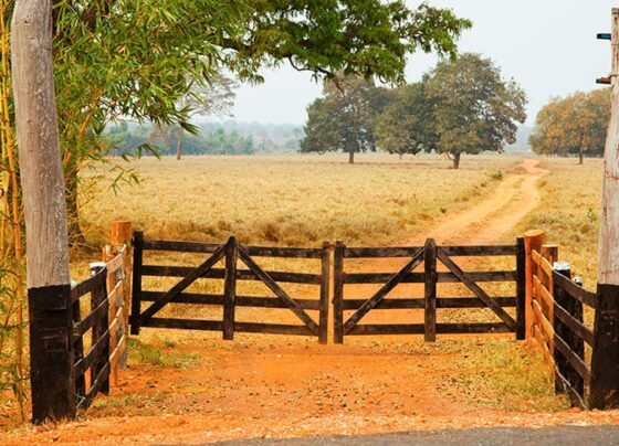 imóvel rural, propriedade rural, porteira, segurança rural, campo, fazenda, terras, mp da regularização fundiária, projeto