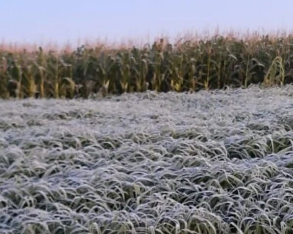 geada, frio, Aplicativo