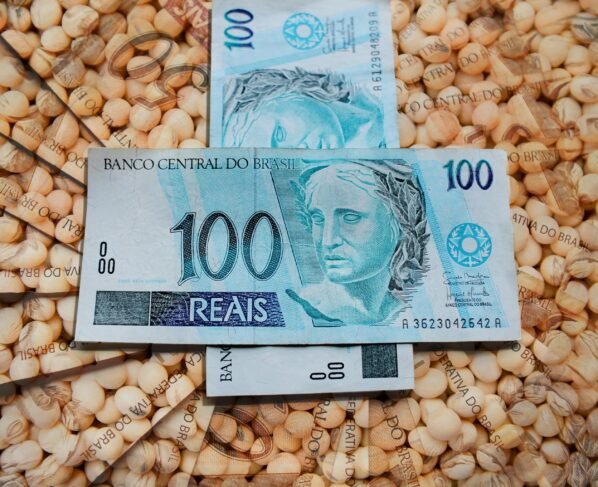 mercado-da-soja-dinheiro-um