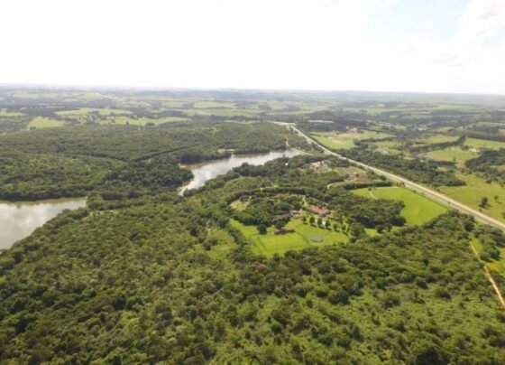 fazenda grupo heineken