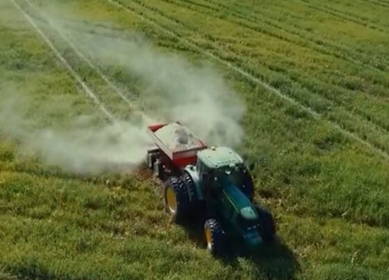 Foto: Reprodução/Giro do Boi.