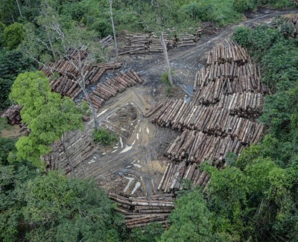 Plano Clima; desmatamento