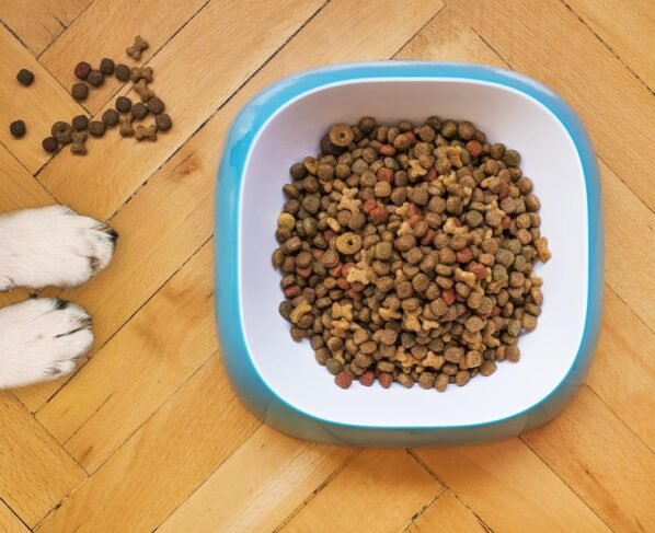 ração animal Portaria Mapa micotoxinas