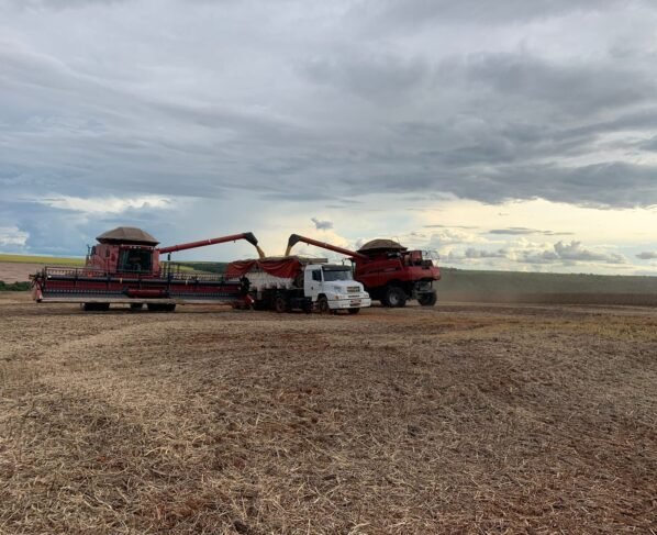 Colheita Soja Fazenda Aymoré