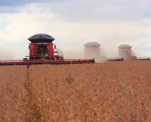 Bahia alcança maior média de produtividade da soja