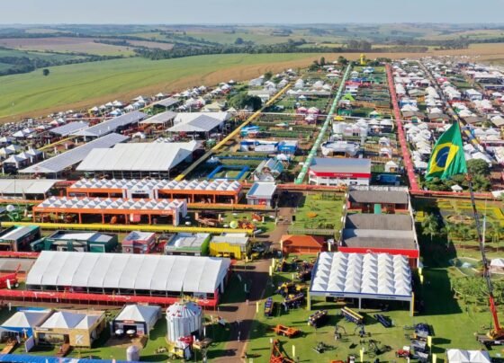 Show Rural Coopavel. Foto: Divulgação/IDR.