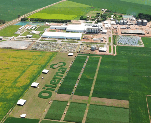 Dia de Campo da Oilema em Barreiras, no Oeste da Bahia, tecnologia