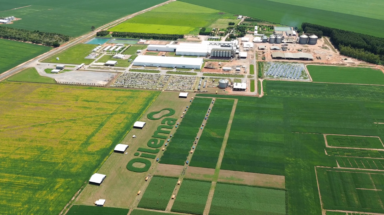 Dia de Campo da Oilema em Barreiras, no Oeste da Bahia, tecnologia