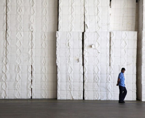 Pilhas de fardos de celulose – Suzano e Klabin