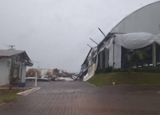 estrutura expoagro cotricampo