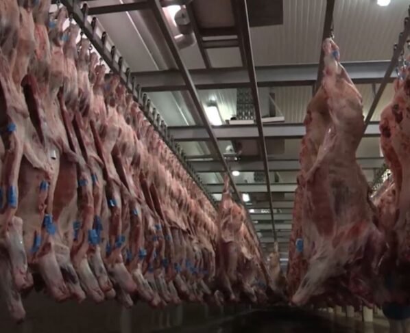 Resíduos na carne: veterinário alerta sobre carência de medicamentos no rebanho