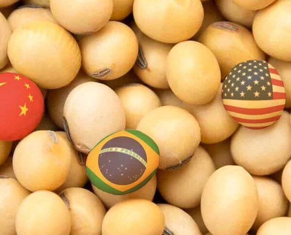 mercado da soja mundo preço