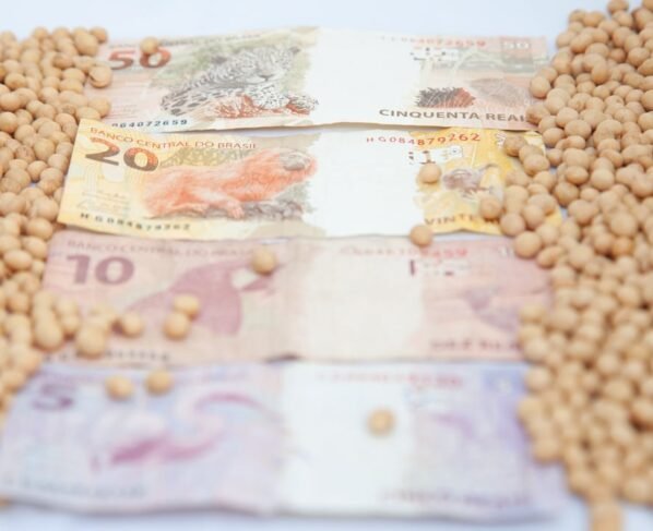 preço soja cotação
