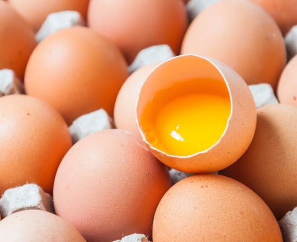 classificação de ovos