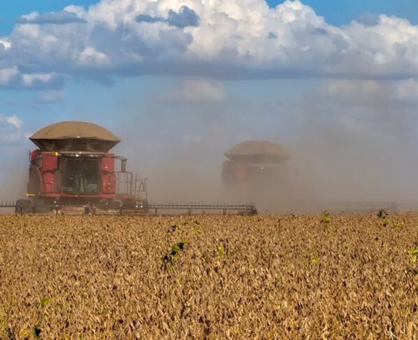 economia, pib do agro, agronegócio, bahia, soja, colheita, participação, agro