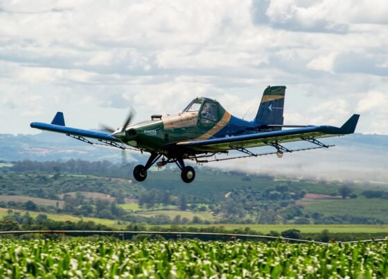 IPANEMA 203 Nova pintura (Embraer)