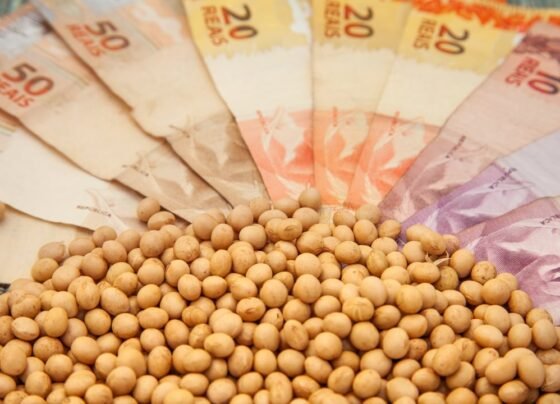 preço soja cotação - preços ao produtor agropecuário