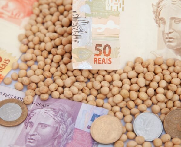 preço soja cotação saca