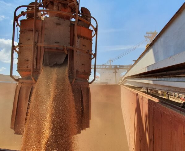 importações, soja, china