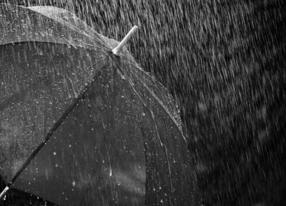 gurada-chuva aberto em temporal