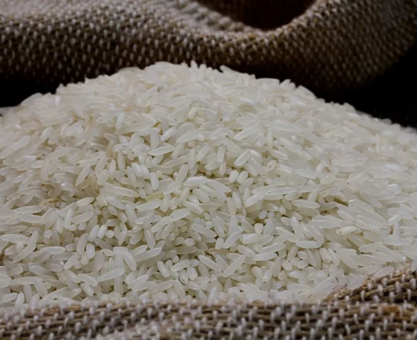 Indústria lança primeiro arroz rastreado com tecnologia da Embrapa