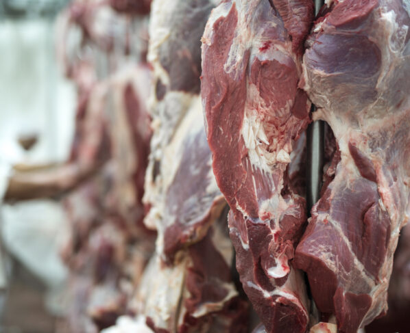 carne bovina frigoríficos