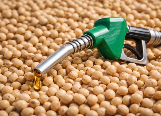 Biodiesel e soja