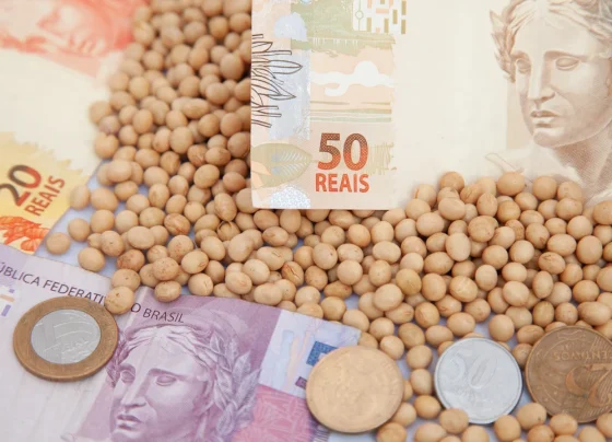 preço soja cotação saca