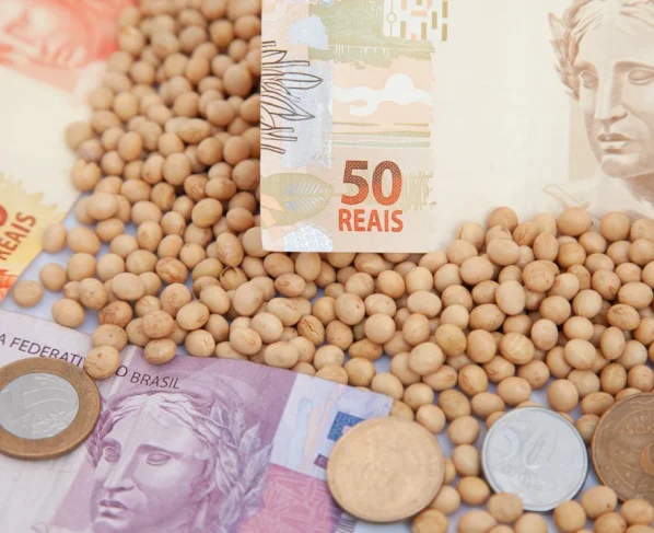 preço soja cotação saca