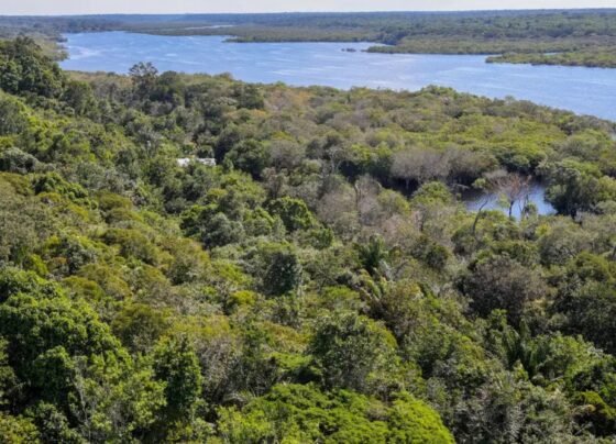 Foto: Fabio Rodrigues-Pozzebom/Agência Brasil.